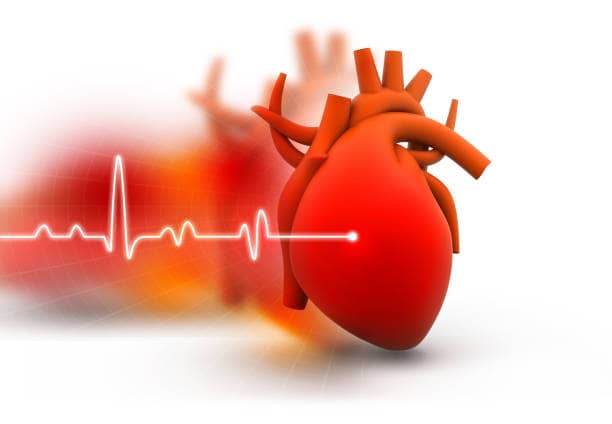 santé cardiaque hypotension artérielle