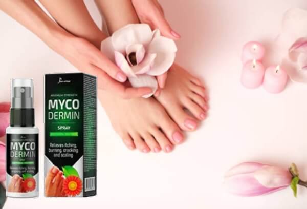 Ingrédients Myco Dermin vaprosisateur pour champignons sur les pieds