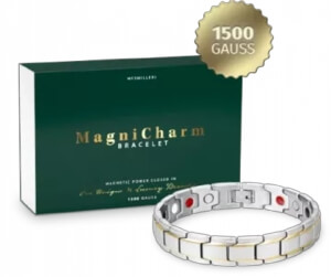 Magnicharm Bracelet France 