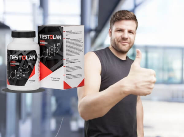 Mode d'emploi de Testolan Mode d'emploi de Testolan