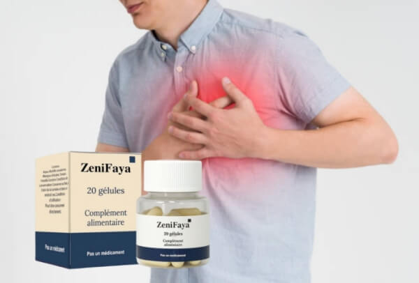 ZeniFaya – Qu'est-ce que c'est et à quoi ça sert ?