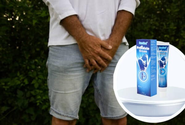 Composition et ingrédients Composition et ingrédients