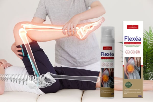 Comment utiliser Flexea – Mode d'emploi